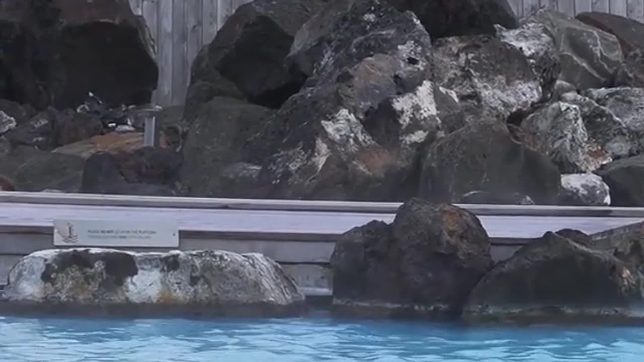 Why Iceland Has No Mosquitoes — Nature’s Mystery Explained