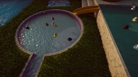 Ducks and chill