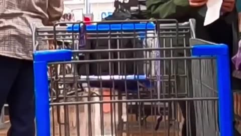 Funny Fart Prank! 🤣 you can't imagine