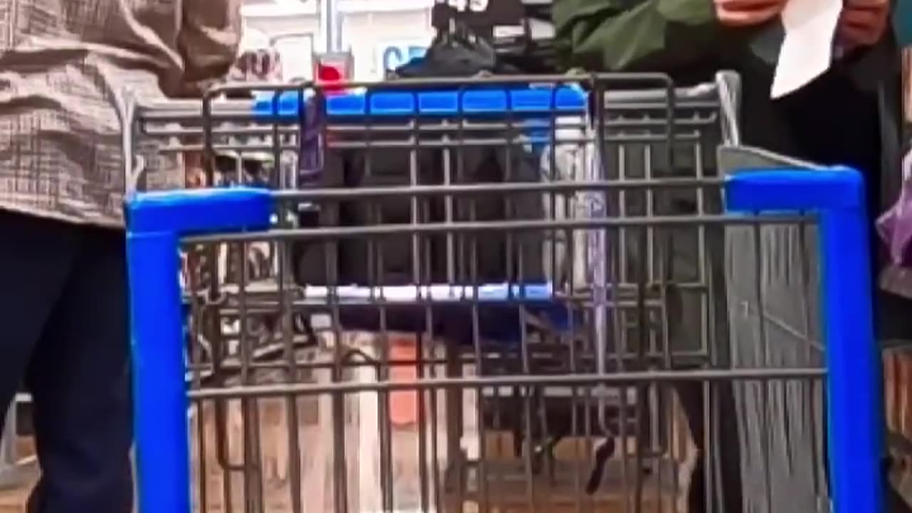 Funny Fart Prank! 🤣 you can't imagine