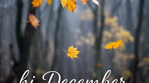 Hi December