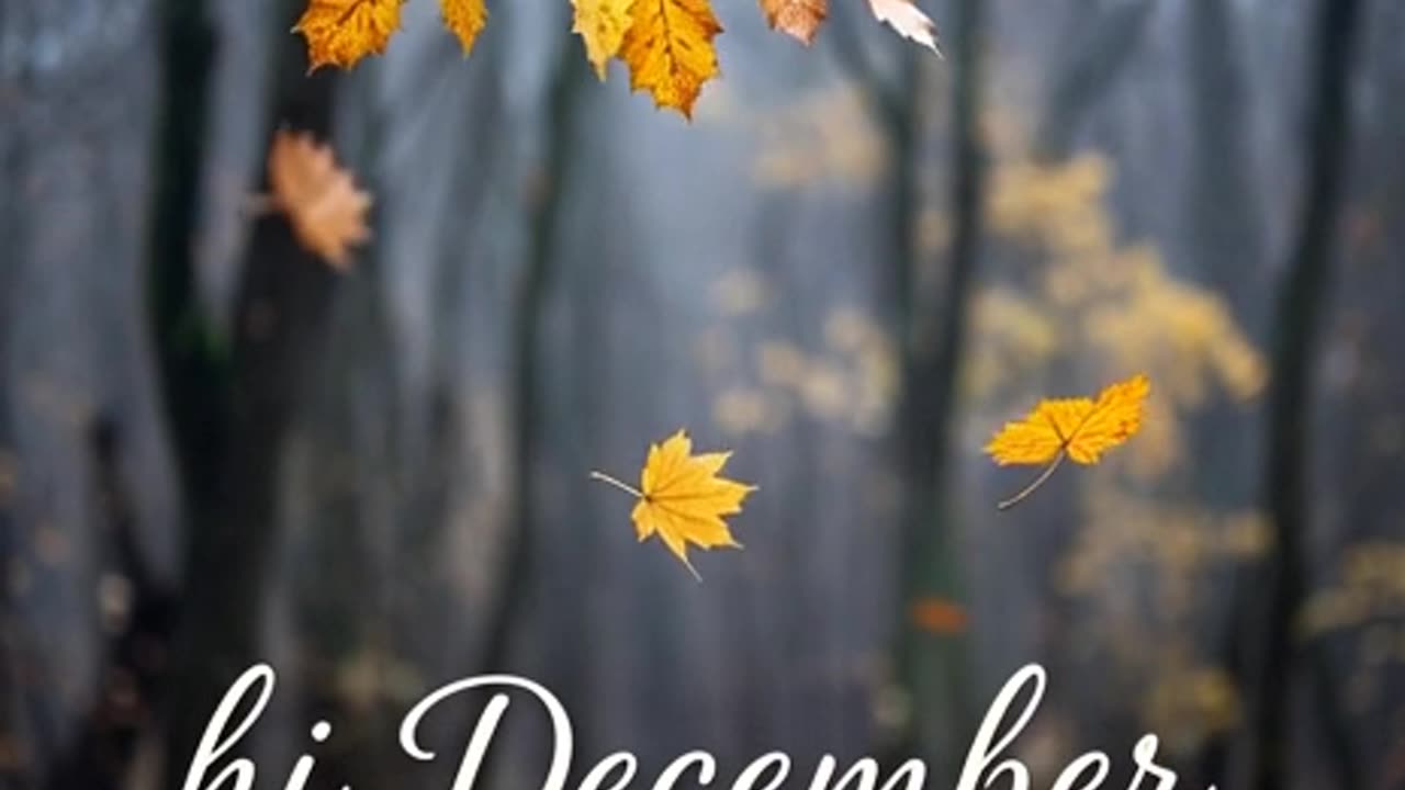 Hi December