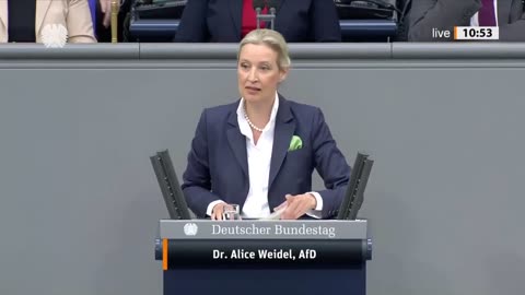 Alice Weidel knöpft sich die Grünen vor! 😂 - AfD-Fraktion im Bundestag