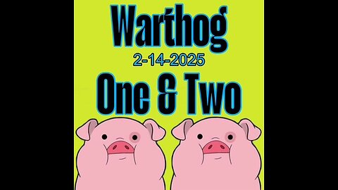 2-14-2025 Wow...this was interesting......Warthog #1/2