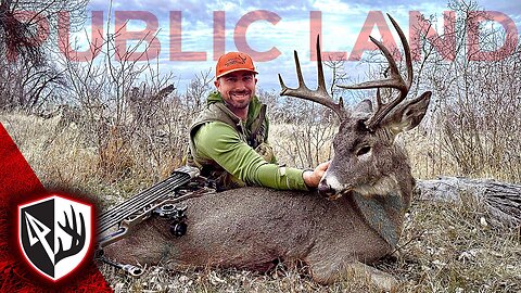 Rattled In A Public Land Buck! Can't Believe That Worked!