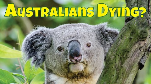 Why have so many Australians been dying?