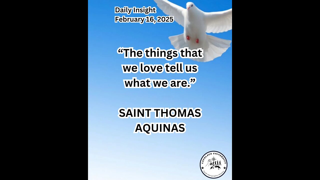 Daily Insight February 16, 2025
