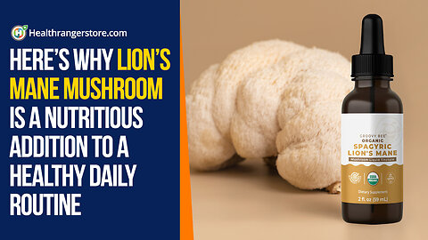Here’s why Lion’s Mane Mushroom is a nutritious addition to a healthy daily routine