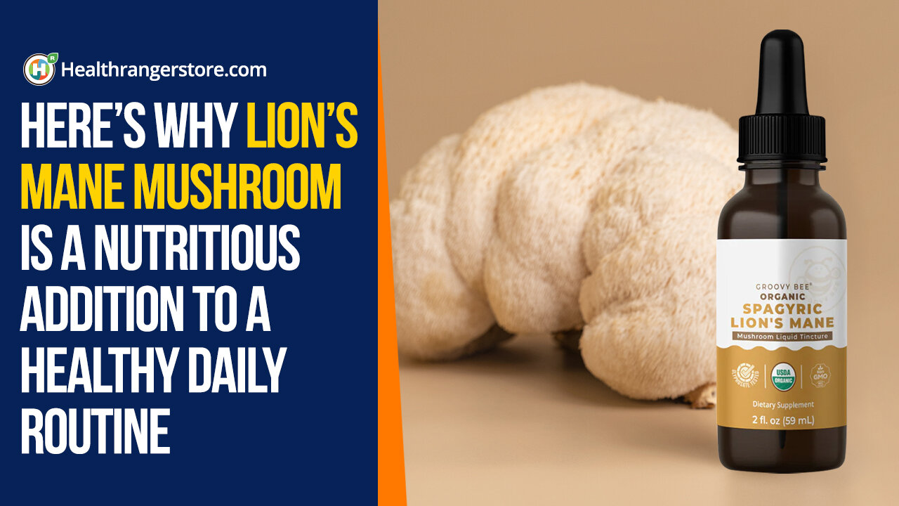 Here’s why Lion’s Mane Mushroom is a nutritious addition to a healthy daily routine