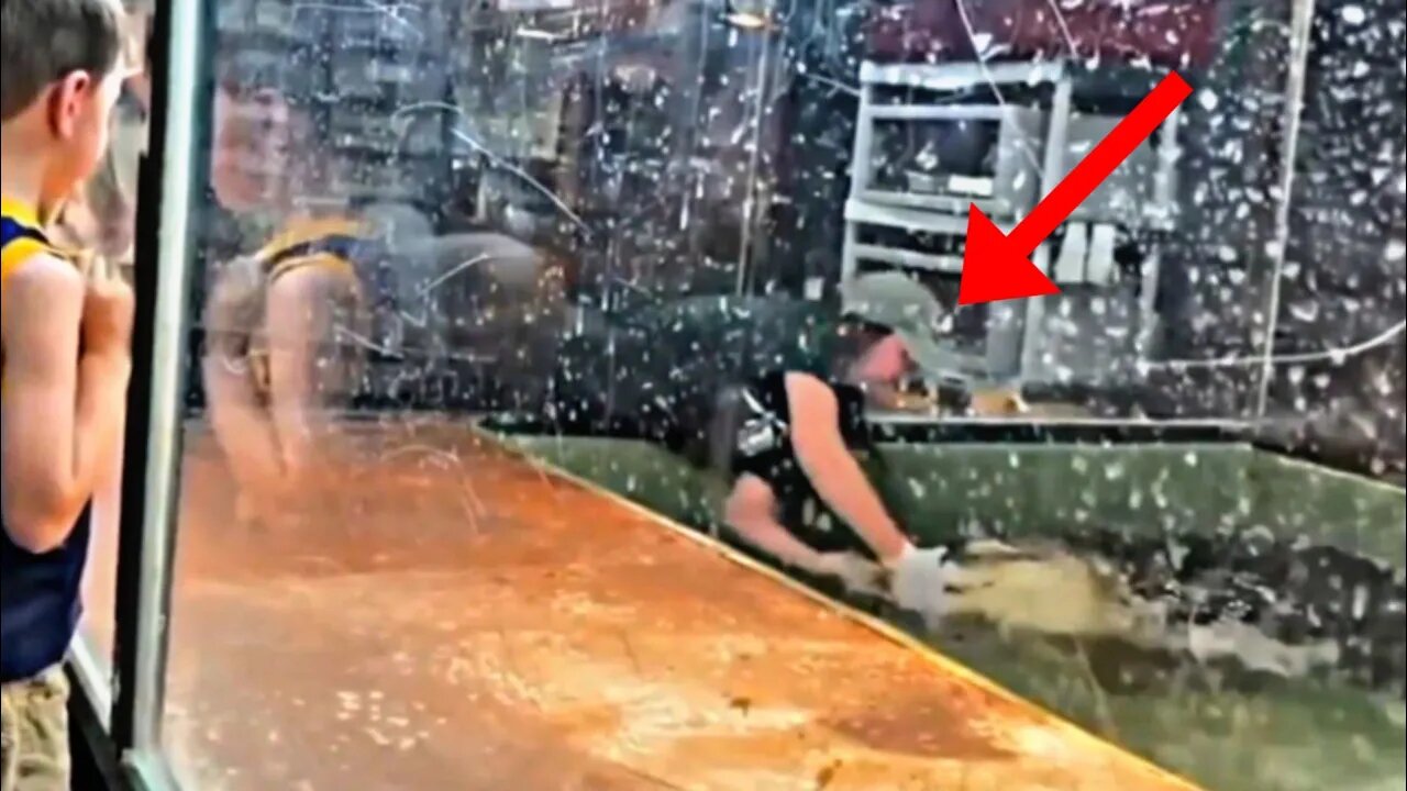 Terrifying shark and crocodile attacks caught on camera