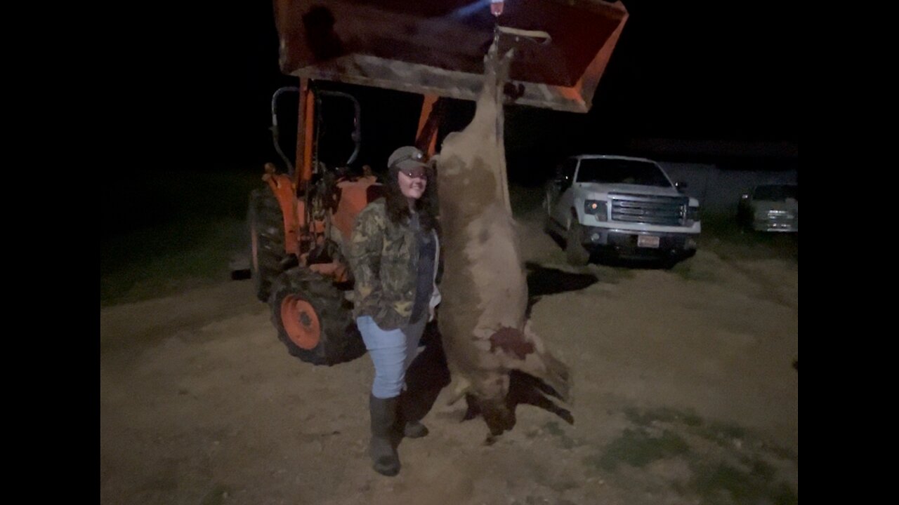 Daughter got a HUGE boar on the club!