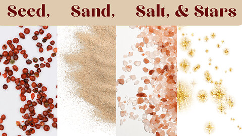 Seed, Sand, Salt, Stars-As the Stars-Apostle Scott C. Lovett