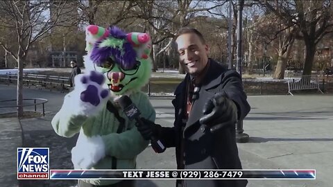 Let’s check in with NYC liberals after Trump’s first year