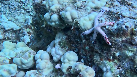 Molokini Crater July 17, 2025