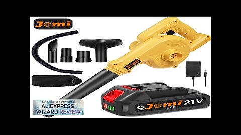 Cordless leaf blower 2.5 lb mini leaf blower 2-in-1 battery leaf blower Review