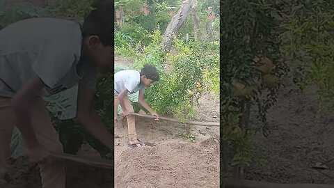 Colocando terra na Roman da Betel Maranata chácara Jerusalém