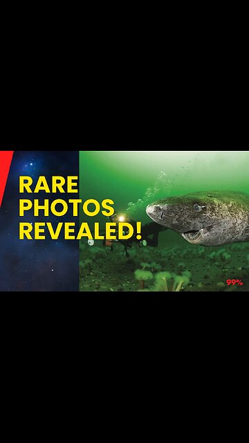 UNSEEN PHOTOS! Shocking Rare Images Revealed! (You WON'T Believe)