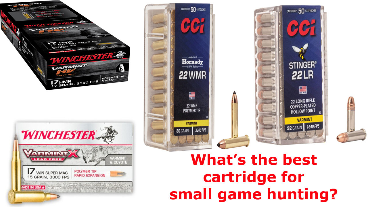 The BEST Caliber for Hunting Small Game