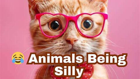 😂 Funny Animals Moments