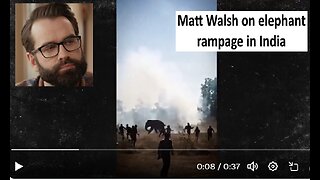 Matt Walsh on Elephant rampage in India
