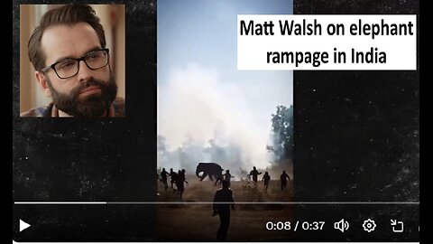Matt Walsh on Elephant rampage in India