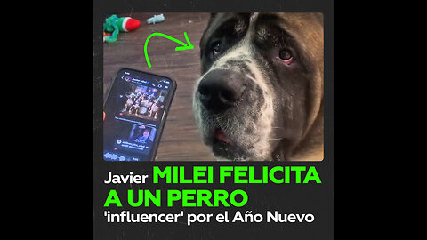 Milei envía un audiomensaje de Año Nuevo a un perro ‘influencer’