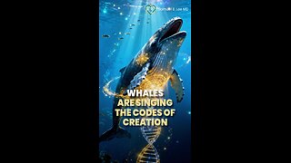 No Whales = No Memory