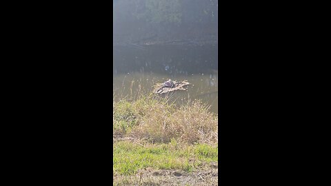 Balloons in Salt Creek