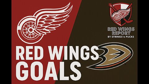 Red Wings vs Ducks: All 6 Detroit Goals in 6–3 Win