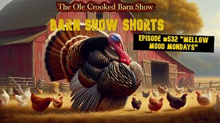 “Barn Show Shorts” Ep. #532 “Mellow Mood Mondays”