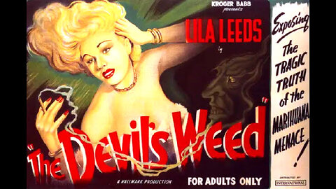 The Devil’s Weed! She Shoulda Said No! (1949) Exploitation Film Marijuana Thriller! | Wild Weed