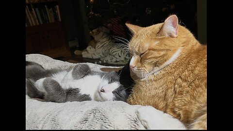 Episode 3070 CWSA - The Scott Adams School 01/12/26