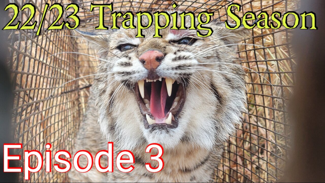 22/23 Trapping Season Episode 3