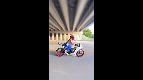 NINJA ZX6R CHICK