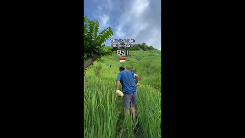 This is not bali