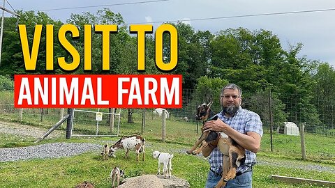 Visit To Animal Farm | Zeeshan Usmani