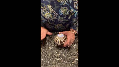 Peppermint Nothing Bundt Cake