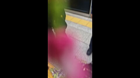 중국조직스토커들카바치는 중국공안연결 비리경찰? 2025/09/27