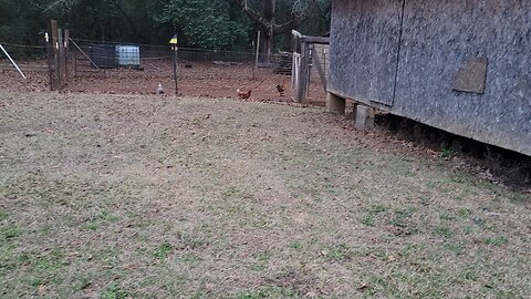 Unexpected expenses. It happens.