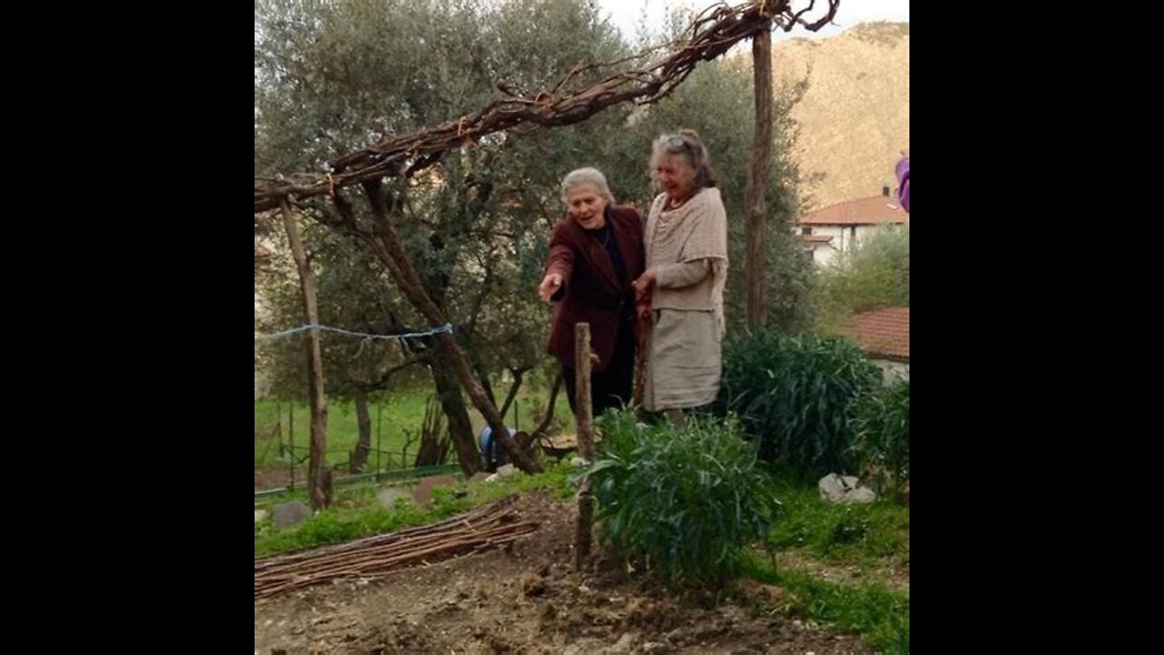 Folk Wisdom/ Folk Healing- With Lisa Fazio