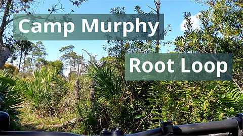 Root Loop Trail, Camp Murphy, Jonathan Dickinson State Park