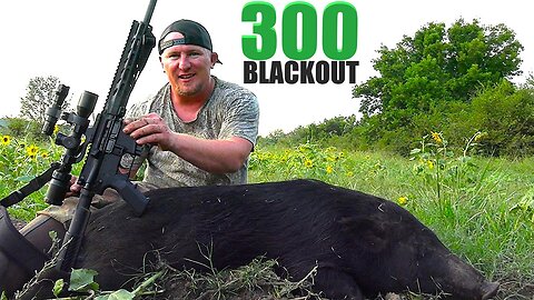 300 BLACKOUT RIFLE TAKES WILD BOAR!
