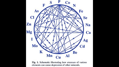 Hair Tissue Mineral Analysis and Mineral Balancing