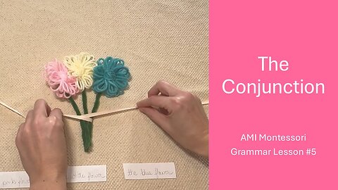 The Conjunction: Lesson 5 From the Function of Words Series (AMI Montessori Grammar)
