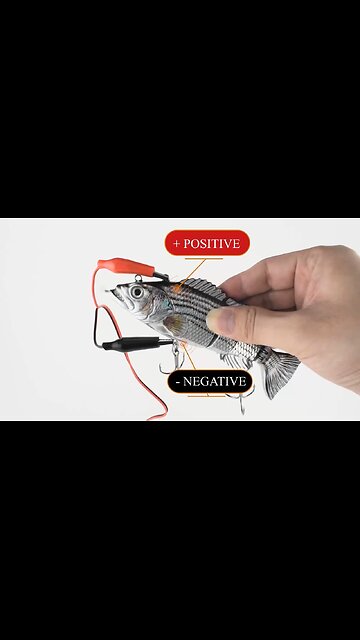 Auto Electric Robotic USB Rechargeable Swimming Lure