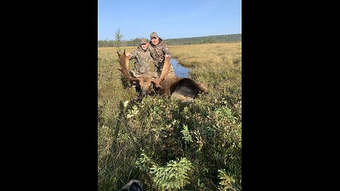 2023 Moose Hunt Central Newfoundland