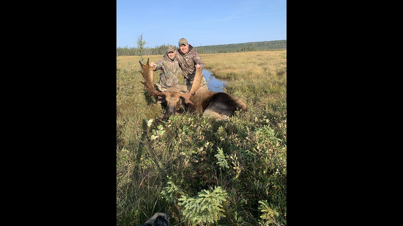 2023 Moose Hunt Central Newfoundland