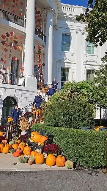 🚨 Sneak peek of the Halloween 2025 decorations at the White House