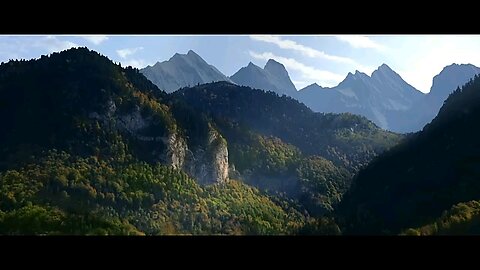 The Fox and the Bird - Fred and Sam Guillaume like and follow for more interesting videos