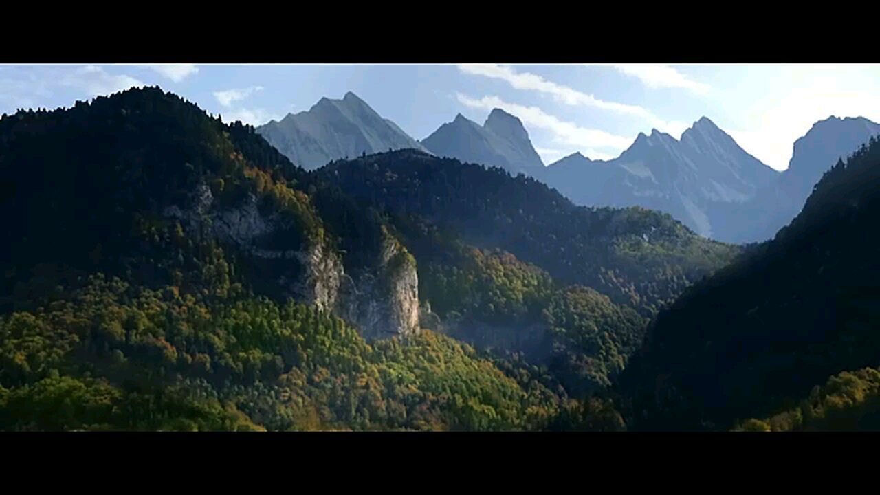 The Fox and the Bird - Fred and Sam Guillaume like and follow for more interesting videos